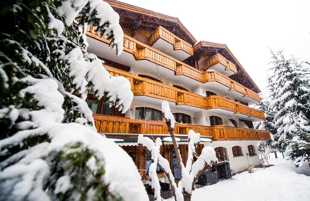 Hotel Daniela-1